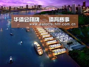 案例展示八