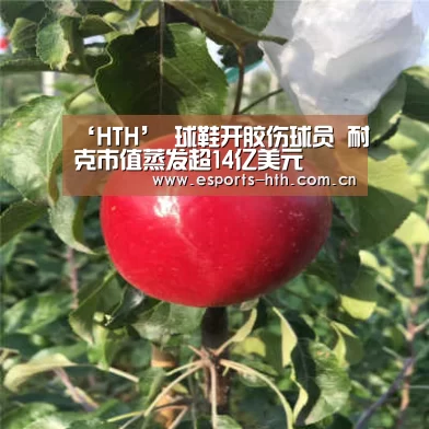 华体会棋牌官网