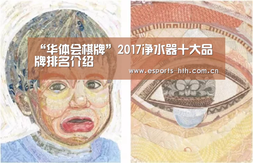 “华体会棋牌”2017净水器十大品牌排名介绍(图1)