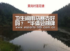 卫生间用马赛克好吗？“华体会棋牌官网”(图3)