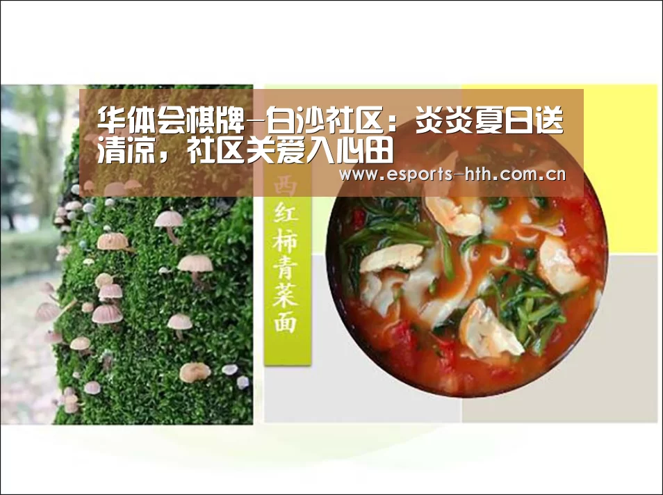 华体会棋牌-白沙社区:炎炎夏日送清凉,社区关爱入心田(图4) 华体会棋牌官网
