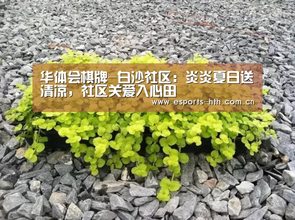 华体会棋牌-白沙社区:炎炎夏日送清凉,社区关爱入心田(图1) 华体会棋牌-白沙社区:炎炎夏日送清凉,社区关爱入心田(图1)