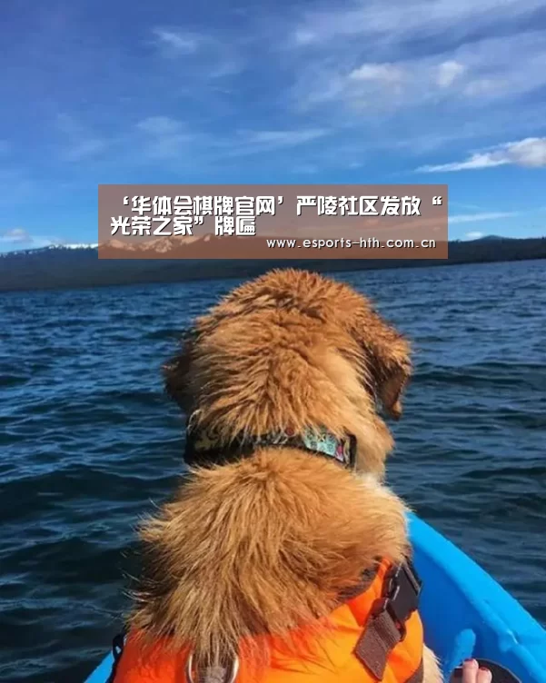 ‘华体会棋牌官网’严陵社区发放“光荣之家”牌匾(图2) 华体会棋牌